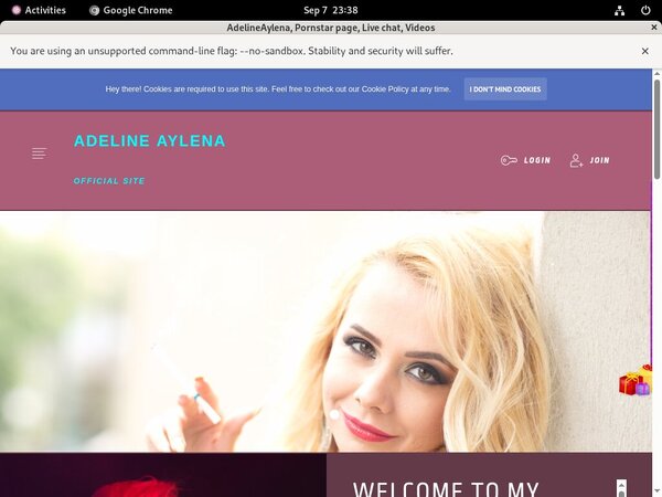 Adelineaylena.modelcentro.com Passwords 2017