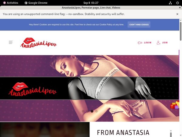 AnastasiaLipov Wire Payment