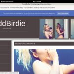 BaddBirdie Free Login