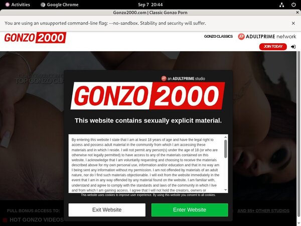 Black Gonzo 2000