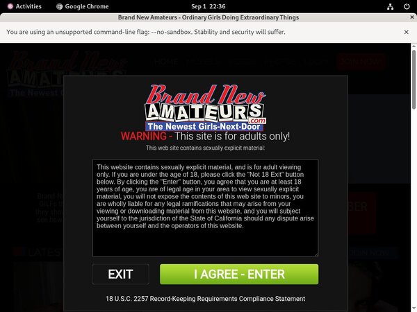 Brand New Amateurs Logins Free