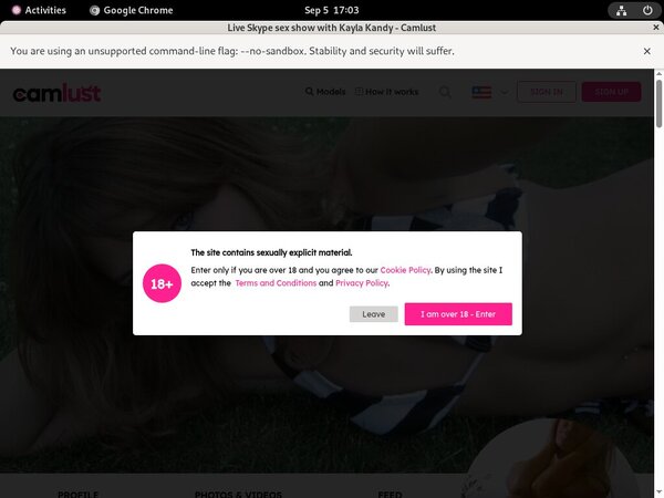 Camlust.com Free Passwords