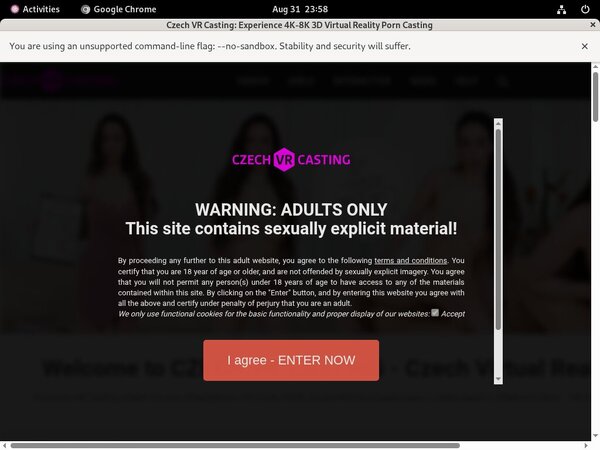 Czech VR Casting Subscriptions