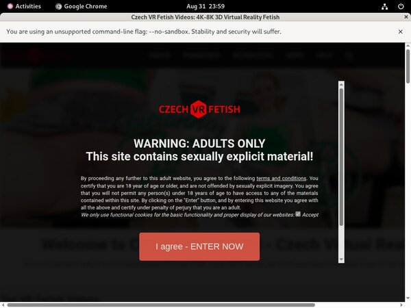 Czech VR Fetish Users