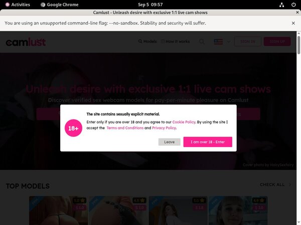 Free Passwords For Cam Lust