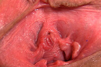 Gapemypussy Epoch Paypal s3