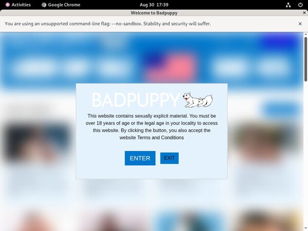 [Image: How-To-Access-Bad-Puppy.jpg]