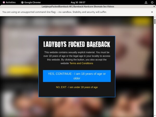 Ladyboys Fucked Bareback Webcam