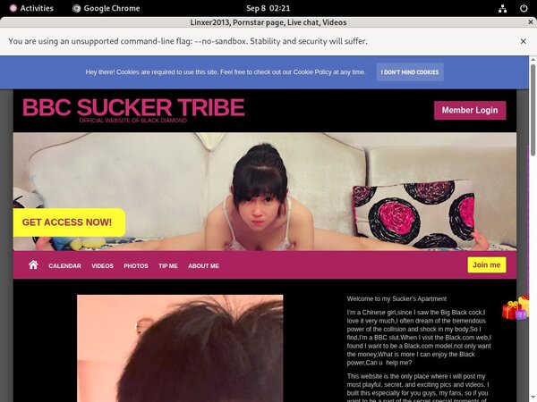 Linxer2013 Massage