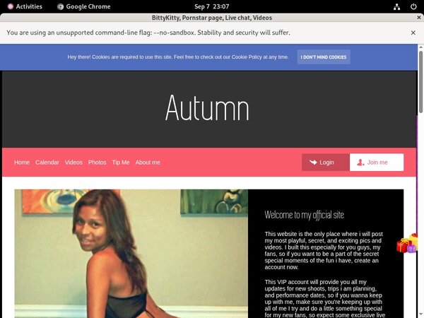 Login To BittyKitty Free