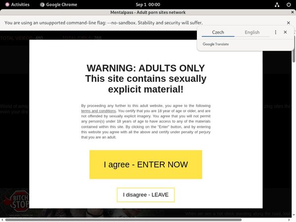 Mental Pass Hacked Password