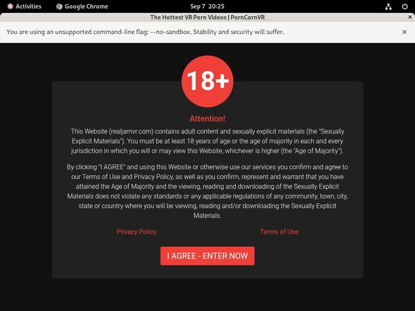 New Porn Corn VR Site Rip
