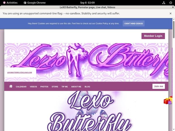 Passwords For LeXO Butterfly