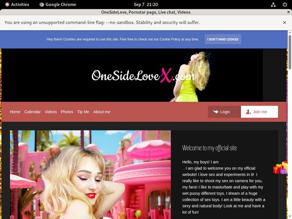 Playfox.modelcentro.com Inside