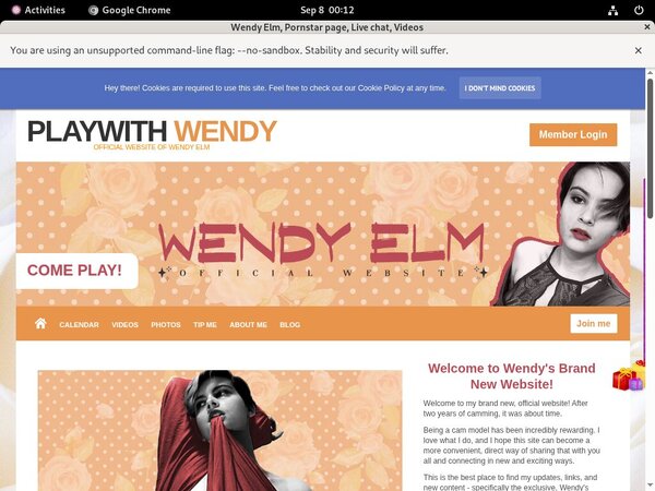 Playwithwendy Cost