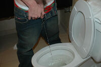 Pornhub Boys-pissing.com s2