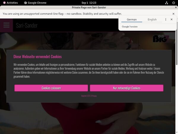 Sari Sander Hack