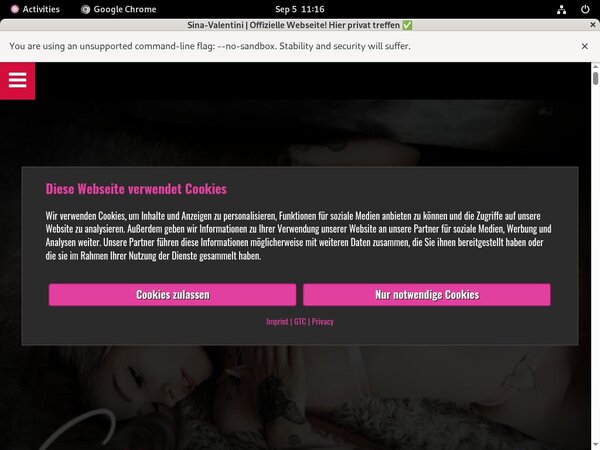 [Image: Sina-Valentini-Working-Passwords.jpg]