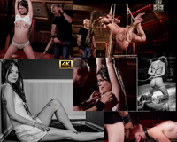 Subspaceland Account Membership s1