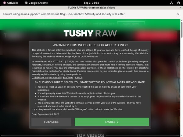 Tushyraw Log In