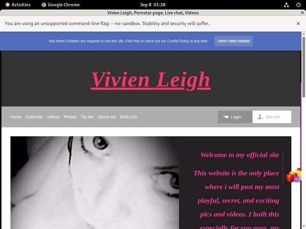 Vivien Leigh Image Post