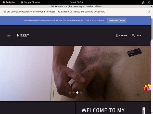 Mickeyelderstud.modelcentro.com Vxsbill Page